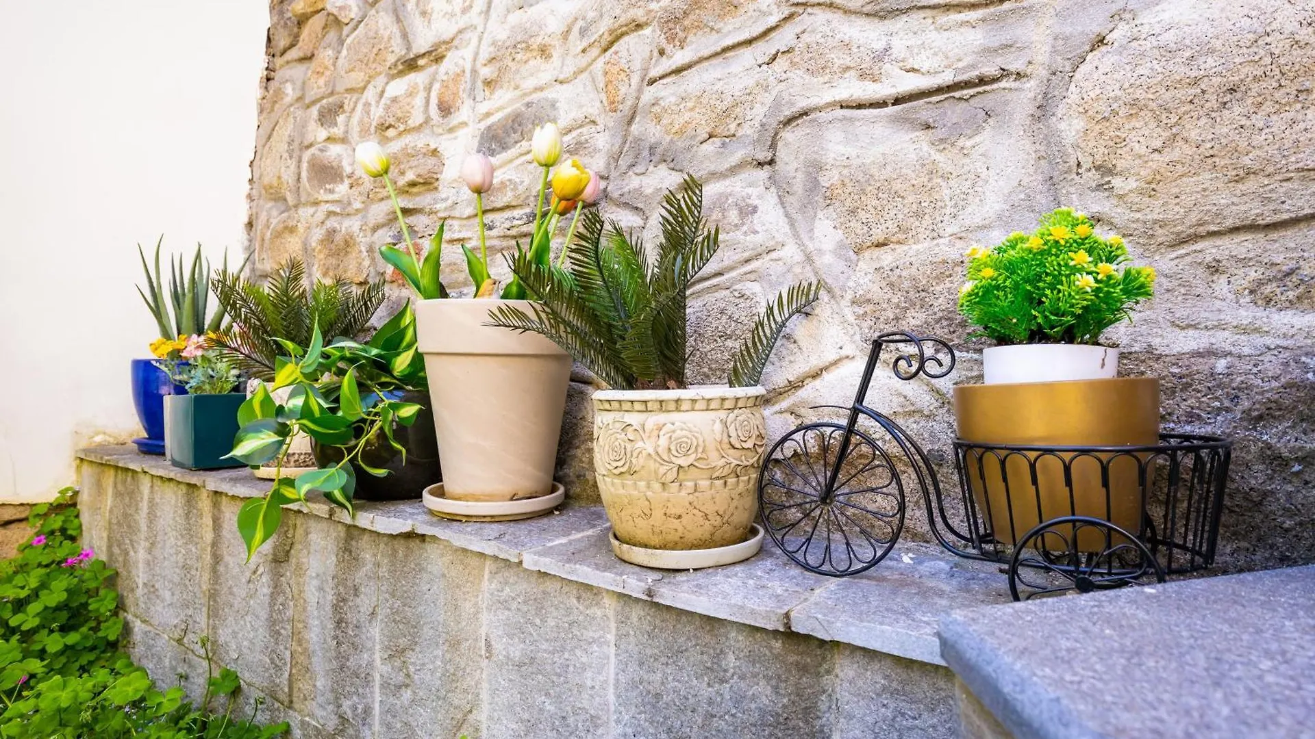 Villa Old Town 2Br Spacious House With Private Garden And Free Parking Plovdiv